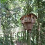 Capture d’écran 2025-12-24 131759