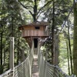 Capture d’écran 2025-12-24 131816