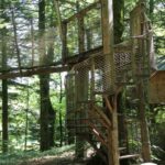 Capture d’écran 2025-12-24 131925