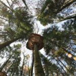 Capture d’écran 2025-12-24 132044