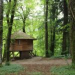 Capture d’écran 2025-12-28 125624