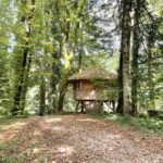 Capture d’écran 2025-12-28 130547