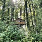 Capture d’écran 2025-12-28 223730