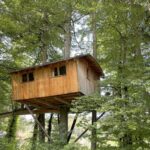 Capture d’écran 2025-12-29 004515