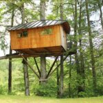 Capture d’écran 2025-12-29 004650